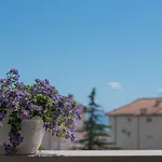 Apartman Ivona
